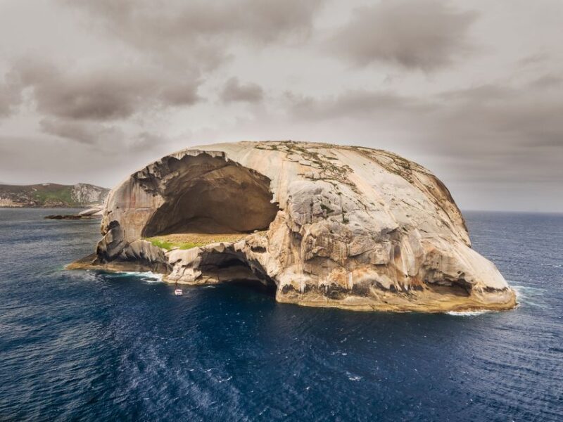 Wilsons Promontory: Afternoon Wilderness Cruise - Wildlife and Scenery