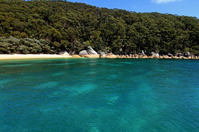 Wilsons Promontory Full Day Cruise - Accessibility and Safety