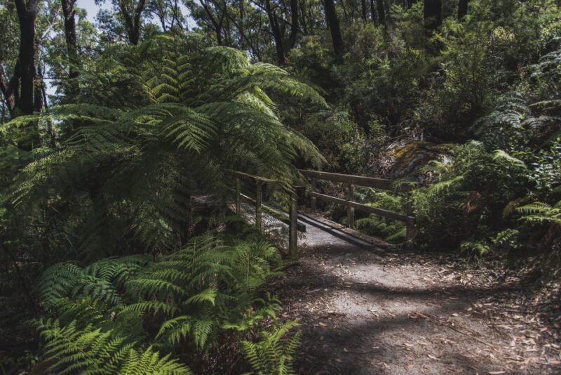 Wilsons Promontory National Park Full-Day Tour - Getting to Wilsons Promontory