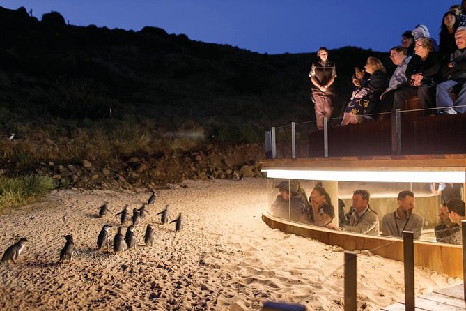 Wilsons Promontory & Phillip Island - Prom & Penguins Tour - Pickup and Start Time