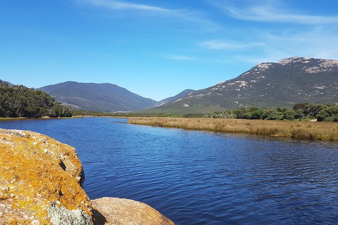 Wilsons Promontory & Phillip Island - Prom & Penguins Tour - Reviews and Ratings