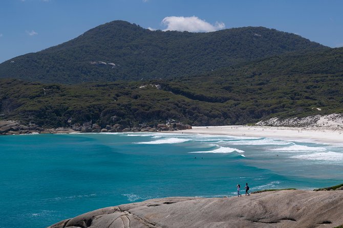 Wilsons Promontory Small Group Eco Tour From Melbourne - Traveler Reviews
