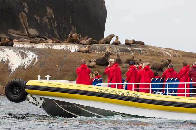 Wilsons Promontory Wilderness Cruise From Tidal River - Amphibious Boat Tour of Rugged Landscapes