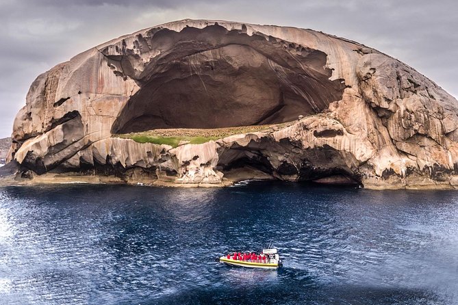 Wilsons Promontory Wilderness Cruise From Tidal River - Biodiversity and Wildlife of the Promontory