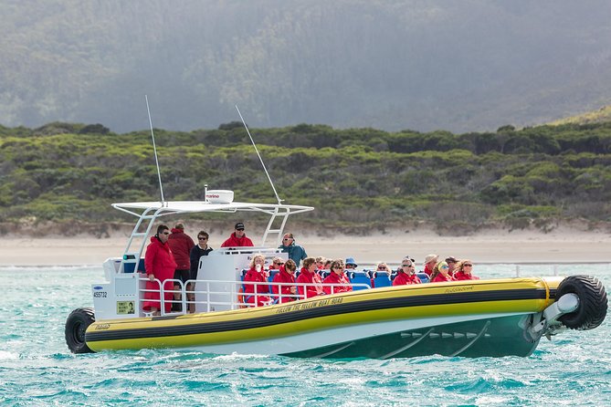 Wilsons Promontory Wilderness Cruise From Tidal River - Cancellation Policy and Additional Information