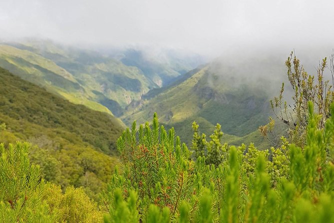 Wind Lagoon and Waterfalls Hike and Tour - Health and Accessibility