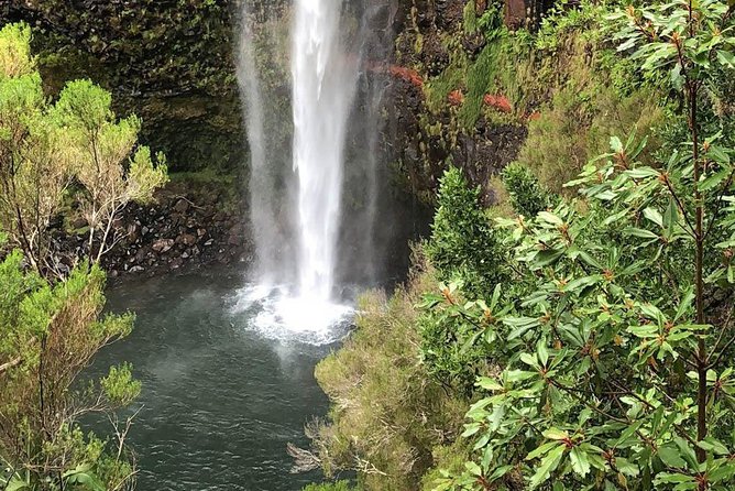Wind Lagoon and Waterfalls Hike and Tour - Positive Traveler Reviews
