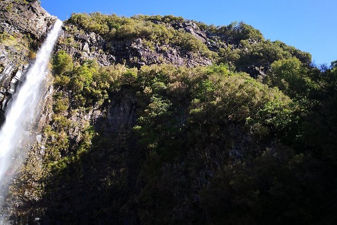 Wind Lagoon and Waterfalls Hike and Tour - Contact and Support
