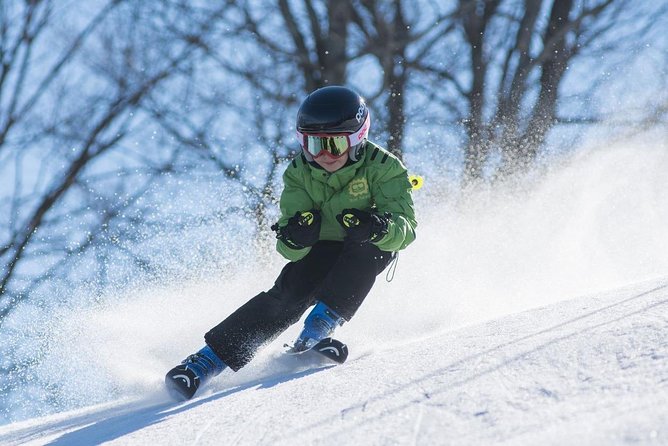 Windham Transportation Only From NYC - Accessibility Information