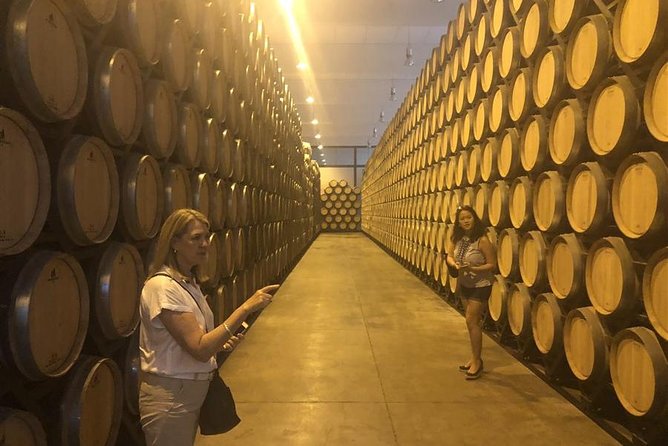 Windmills of Don Quixote Wine Tour & Tasting From Madrid - Consuegra Castle Tour