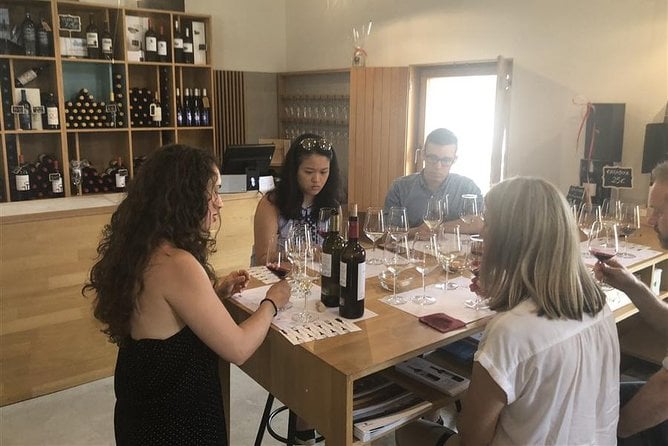 Windmills of Don Quixote Wine Tour & Tasting From Madrid - Meeting and Pickup