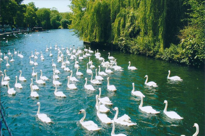 Windsor and Eton Day Tour From London by Train - Accessibility and Group Size