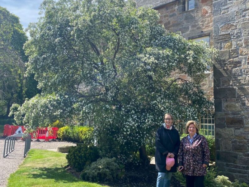 Windsor: Private Town-Walking Tour - Frequently Asked Questions