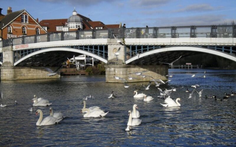 Windsor: Self-Guided City Walk & Interactive Treasure Hunt - Key Points