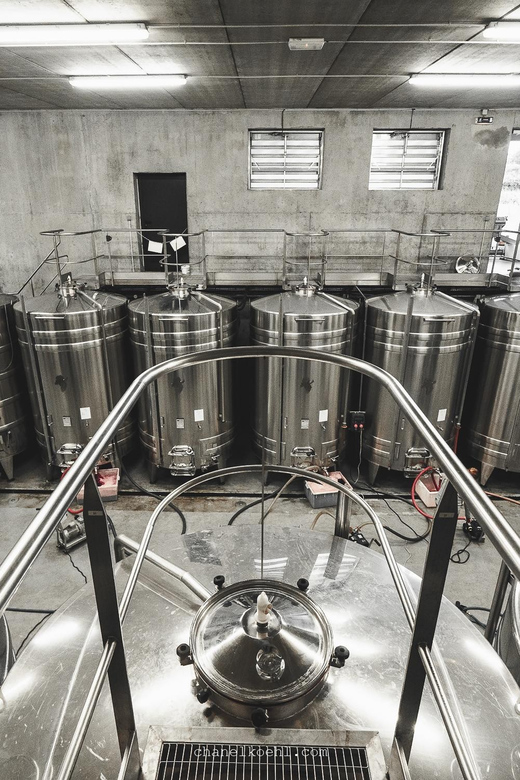 Wine and Cheese Experience - Tasting Details