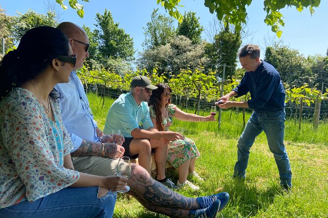 Wine and Cheese Tasting Tour in Cheddar Valley - Highlights of the Itinerary