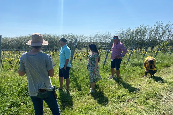 Wine and Cheese Tasting Tour in Cheddar Valley - Booking and Cancellation Details