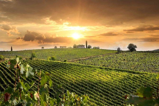 Wine and Cheese Tastings Southern Tuscany Shoreexcursion From Civitavecchia Port - Transportation and Pickup Details
