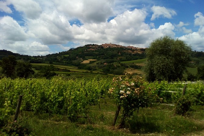 Wine and Cheese Tastings Southern Tuscany Shoreexcursion From Civitavecchia Port - Private vs. Shared Tours