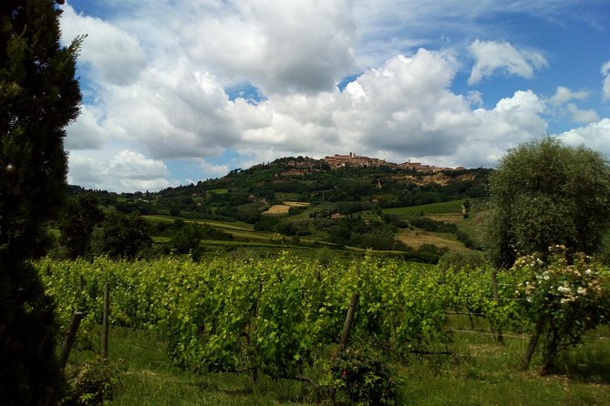 Wine and Cheese Tastings Southern Tuscany Shoreexcursion From Civitavecchia Port - Age Requirement and Infant Seat