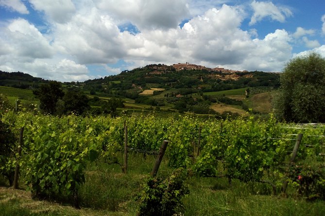 Wine and Cheese Tastings Southern Tuscany Shoreexcursion From Civitavecchia Port - Booking Flexibility