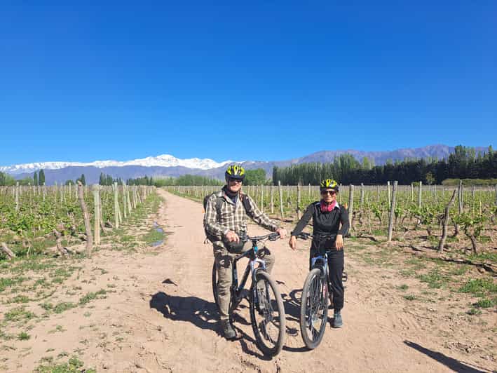 Wine and Chocolate Bike Tour: Ride, Taste, Lunch, Vineyards. - Key Points