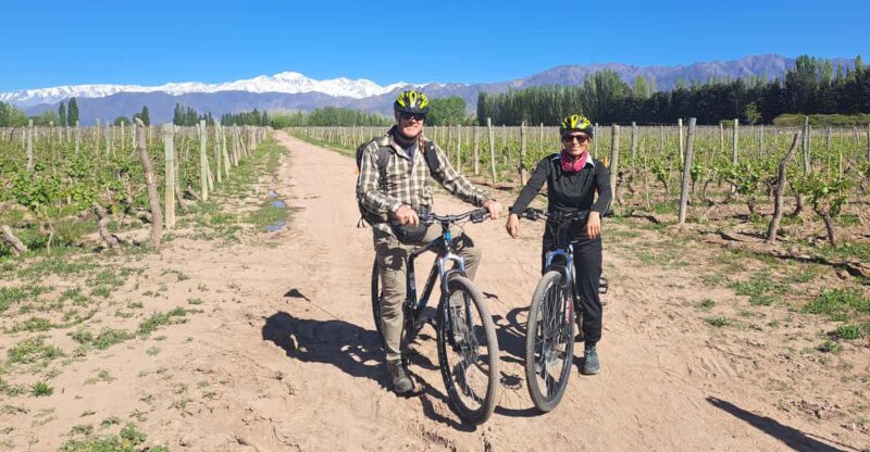 Wine and Chocolate Bike Tour: Ride, Taste, Lunch, Vineyards. - Experience Highlights