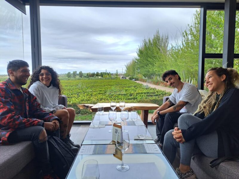 Wine and Chocolate Bike Tour: Ride, Taste, Lunch, Vineyards. - Participant Information