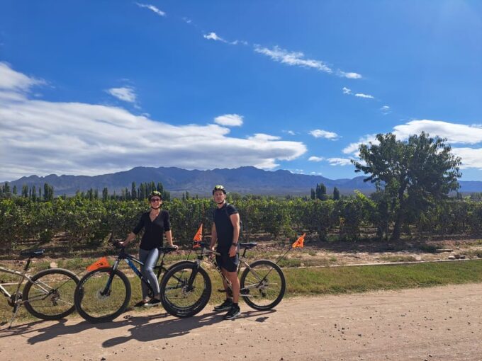 Wine and Chocolate Bike Tour: Ride, Taste, Lunch, Vineyards. - Picnic Lunch and Tasting
