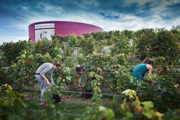 Wine and Chocolate Experience - Frequently Asked Questions