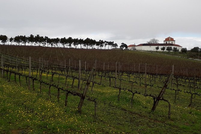 Wine and Dine - Winery Highlights
