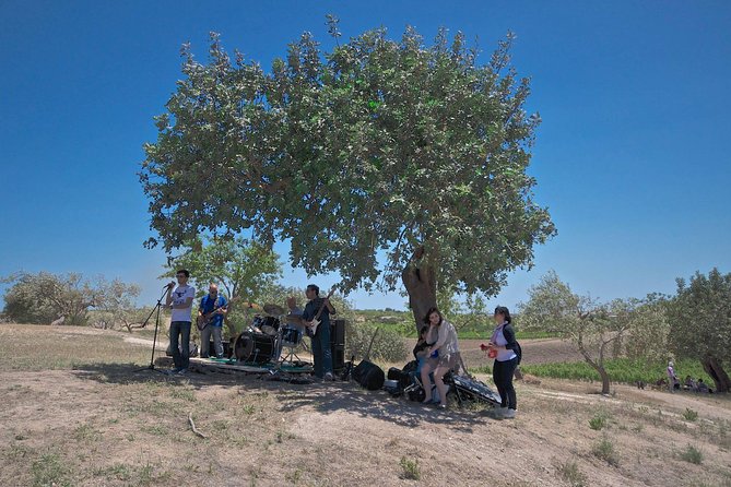 Wine and Food Baroque Day Tour – Private Experience - Meeting Point Details