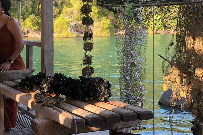 Wine and Food Daily Tour - Booking and Cancellation