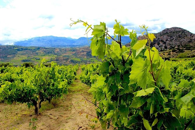 Wine and Food of Crete, Heraklion - Inclusions and Logistics