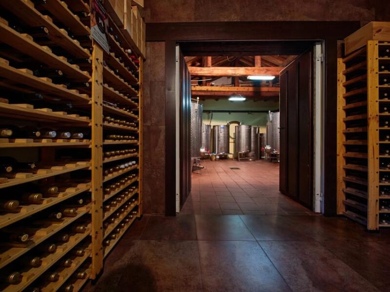 Wine and Food Pairing Tasting Las Dos Antiguas- Artisan Winery Segovia - Key Points