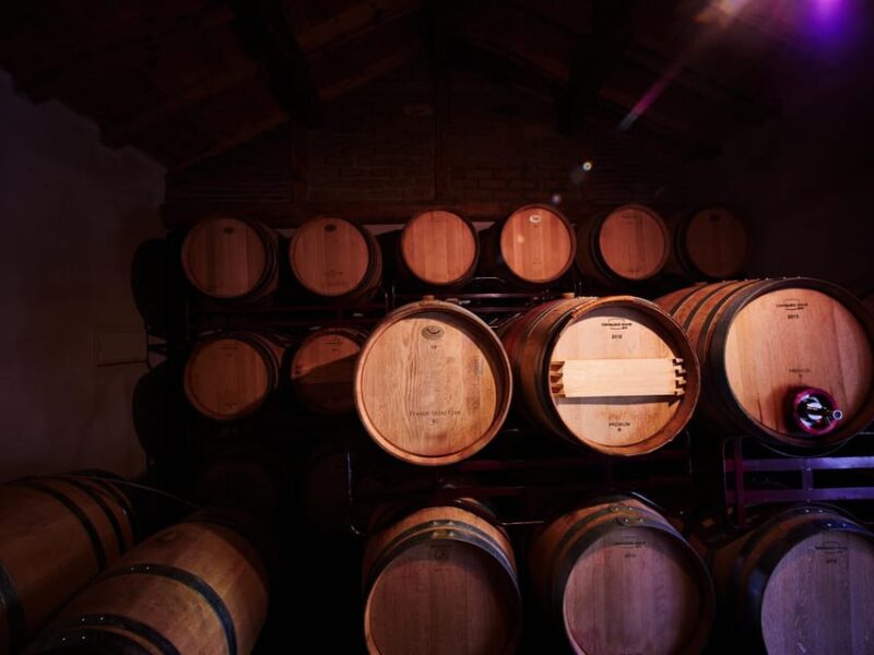 Wine and Food Pairing Tasting Las Dos Antiguas- Artisan Winery Segovia - Guided Tour of the Winery