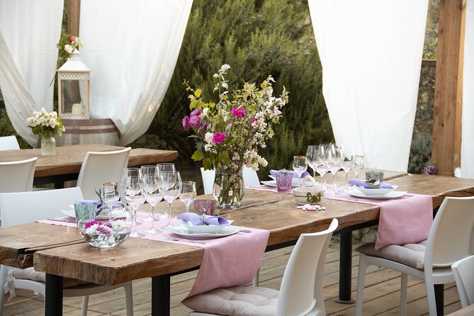 Wine and Food Tasting in an Organic Family Winery - Visits to Winery Facilities