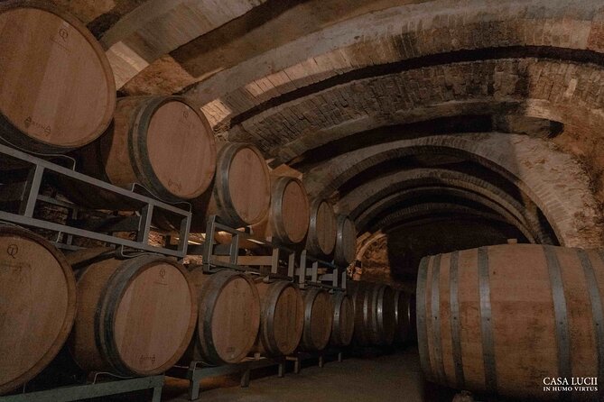 Wine and Food Tasting in an Organic Family Winery - Warm and Knowledgeable Hosts