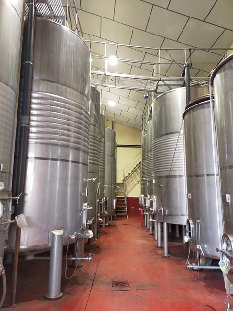 Wine and Food Tasting in Madrid: Tour - Cancellation Policy