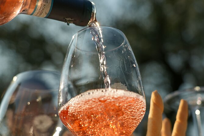 Wine and Food Tasting on Bardolino Hills - Exclusive Tastings in Verona