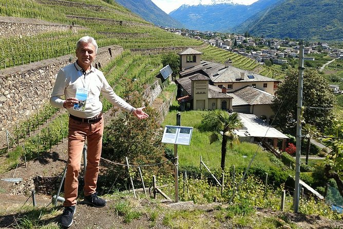 Wine and Food Tasting PRIVATE Guided Tour - Explore Boutique Wineries