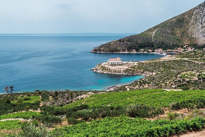Wine and Gastro Private Tour in Peljesac - Pickup and Start Times