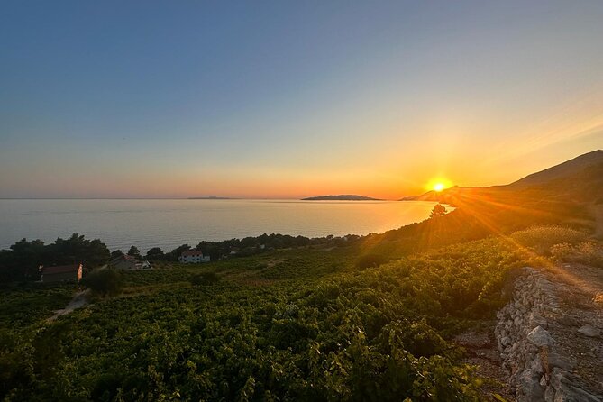 Wine and Gastro Private Tour in Peljesac - Accessibility Features