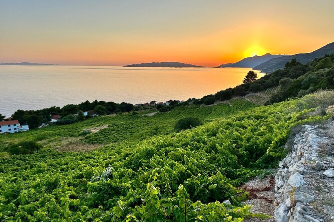 Wine and Gastro Private Tour in Peljesac - Booking and Cancellation Policy