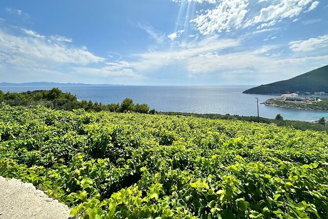Wine and Gastro Private Tour in Peljesac - Local Drinking Laws