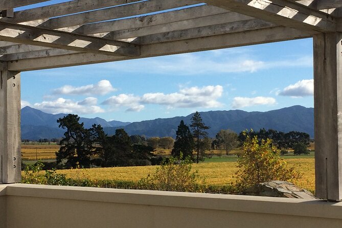 Wine and Gourmet Picnic Experience of Marlborough - Inclusions