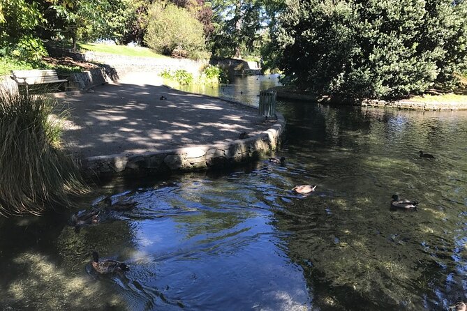 Wine and Gourmet Picnic Experience of Marlborough - Accessibility