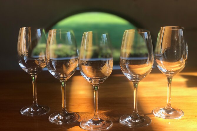 Wine and Gourmet Picnic Experience of Marlborough - What to Expect