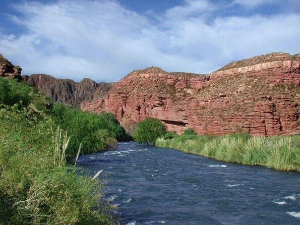 Wine and Literature Tour in Mendoza: Trip to the Borges Labyrinth - Key Points