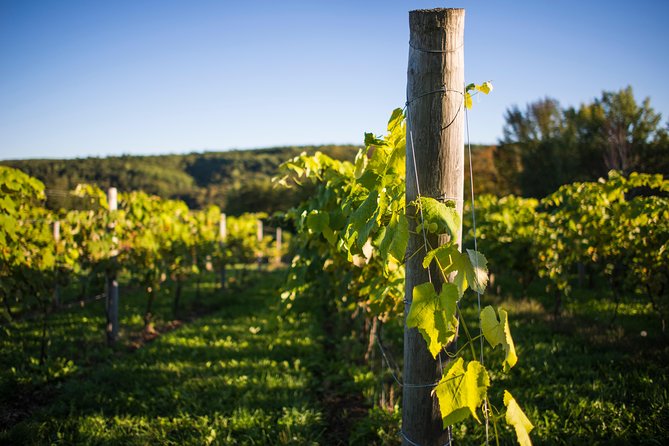 Wine and Lunch Escape - Scenic Drive Through Annapolis Valley